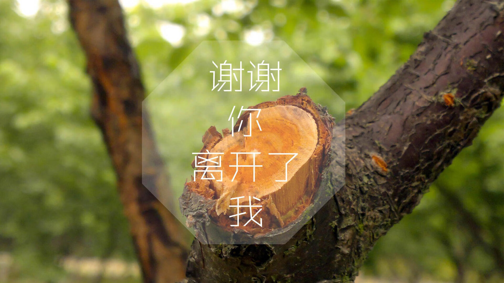 中国反曲弓女队在射箭世界杯上海站获得团体冠军，中国反曲弓男子队员