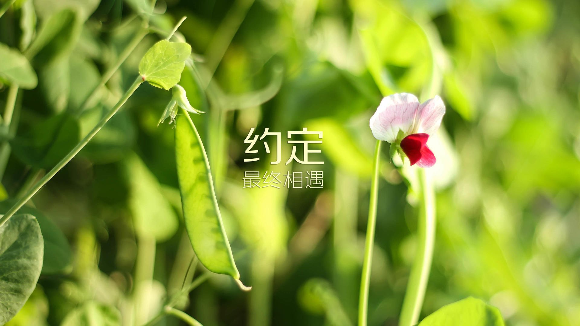 EDG推行日常训练负荷智能监控系统，训练负荷监控的作用