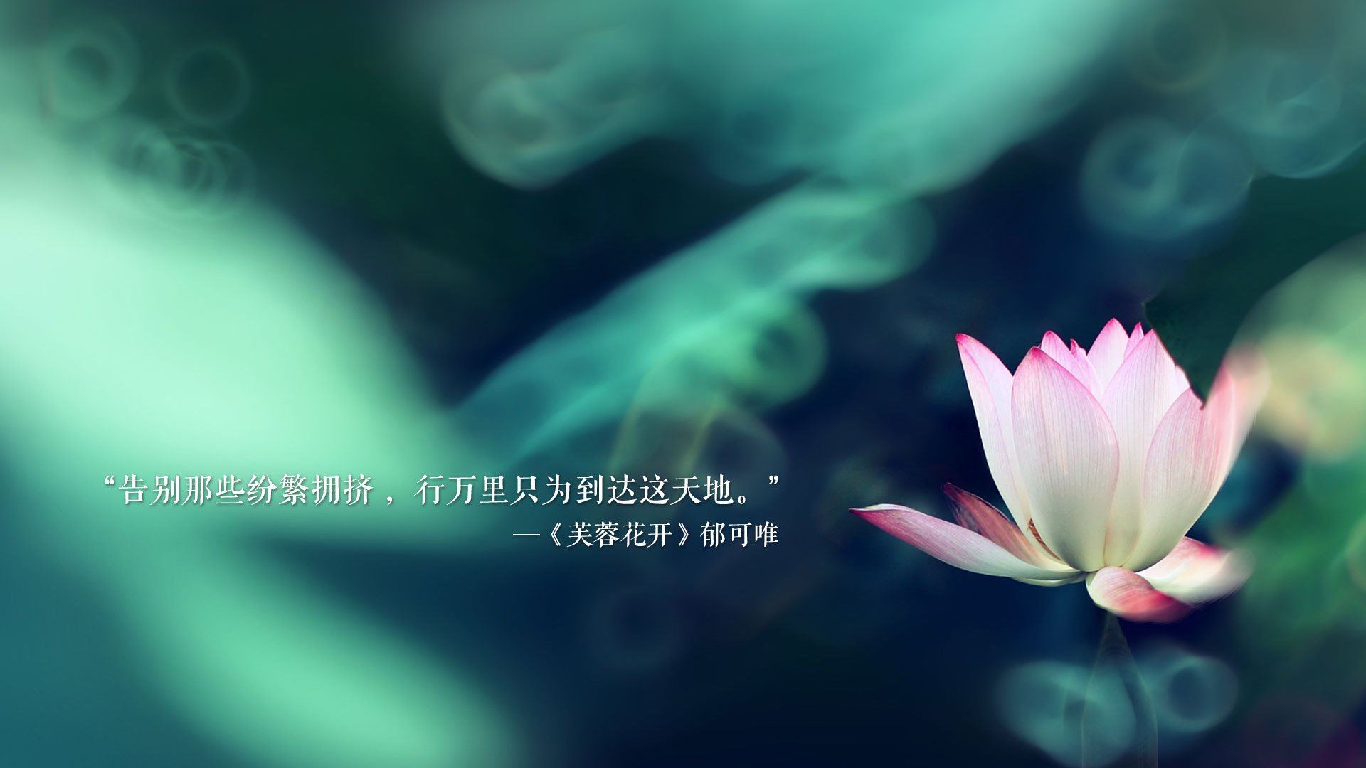 北京首钢战绩波动引发球迷讨论，北京首钢战绩2020