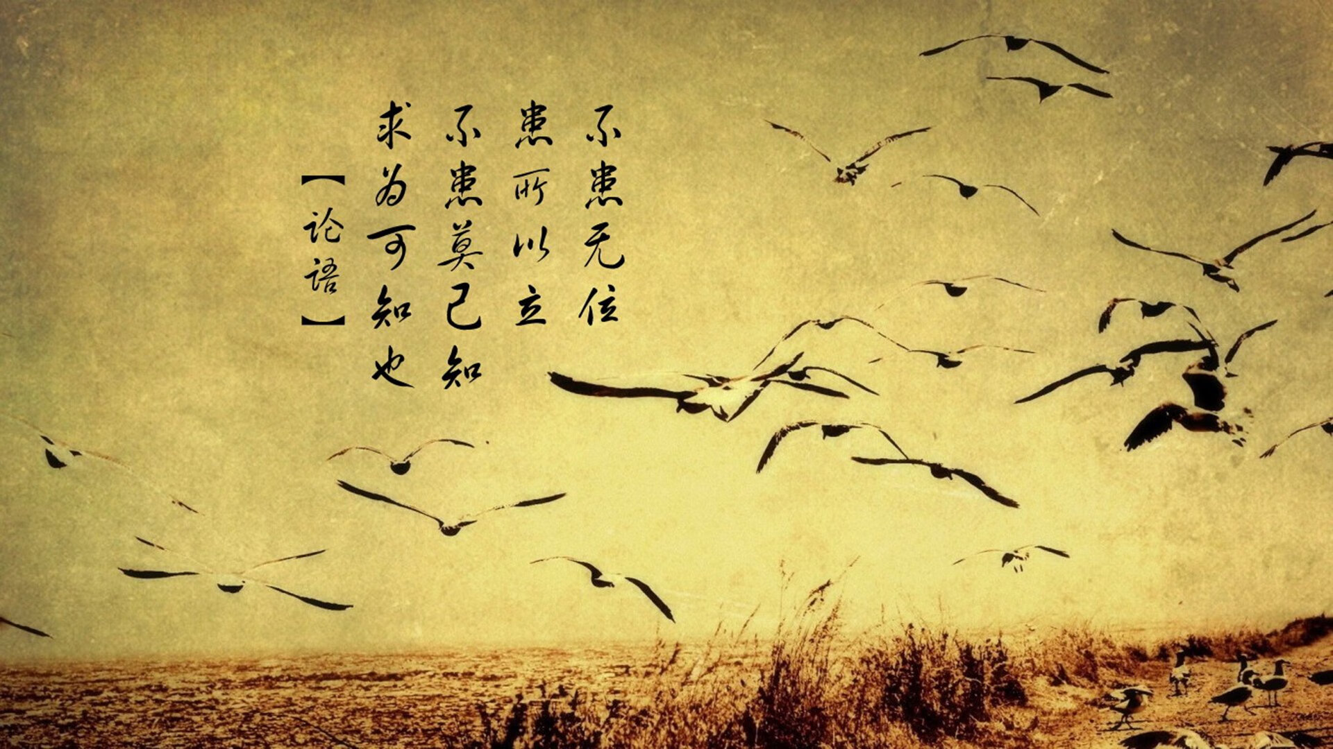 中国三人篮球女队提升比赛节奏变化能力，中国三人篮球女篮有谁