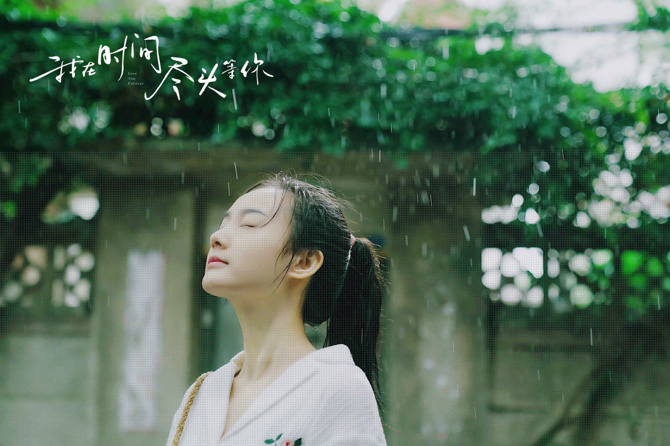 中国香港队赛制分析：团体赛制下的战略选择与战术布局，香港队入场