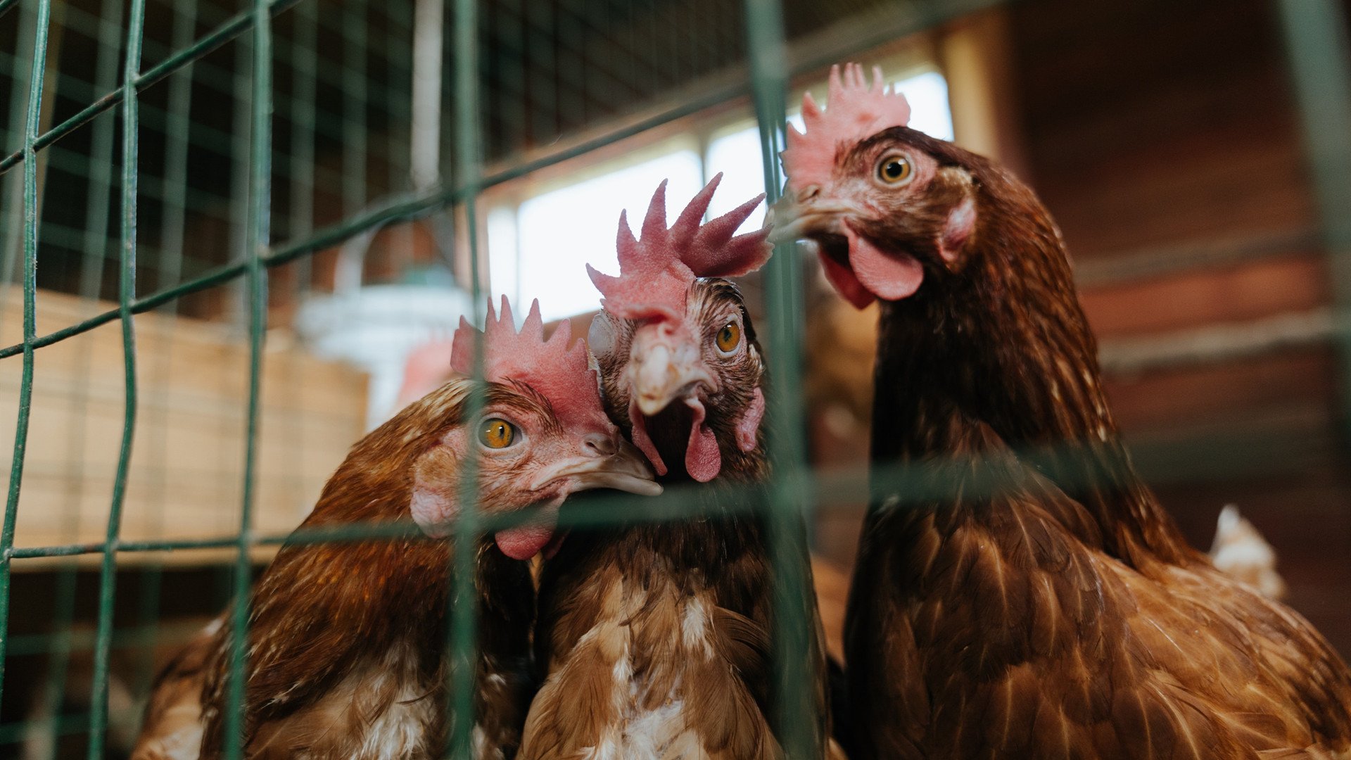 冲刺阶段配速提升比分析，冲刺跑配速