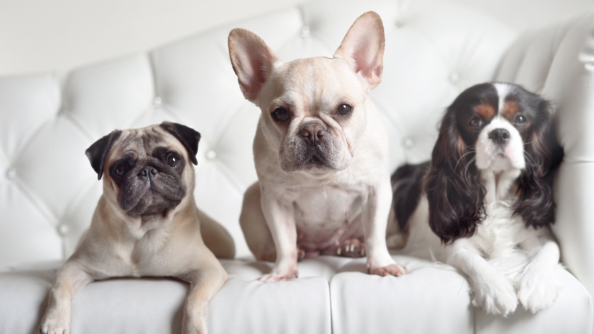 姚明接受专访谈中国篮球未来发展蓝图，姚明领导下的中国篮球进步了吗