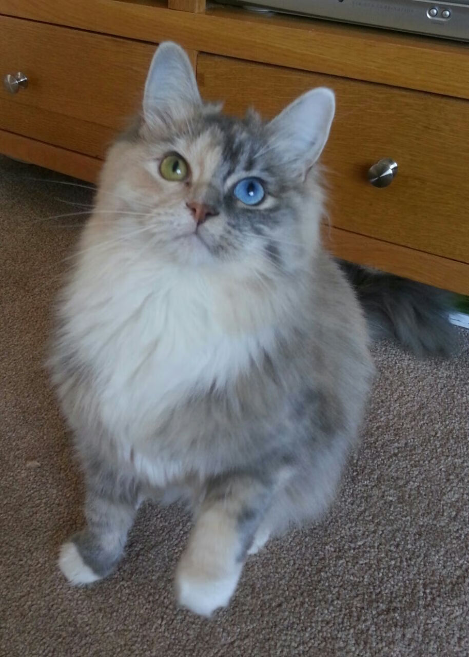 快节奏战术是否适合外线为主的球队，快节奏定义