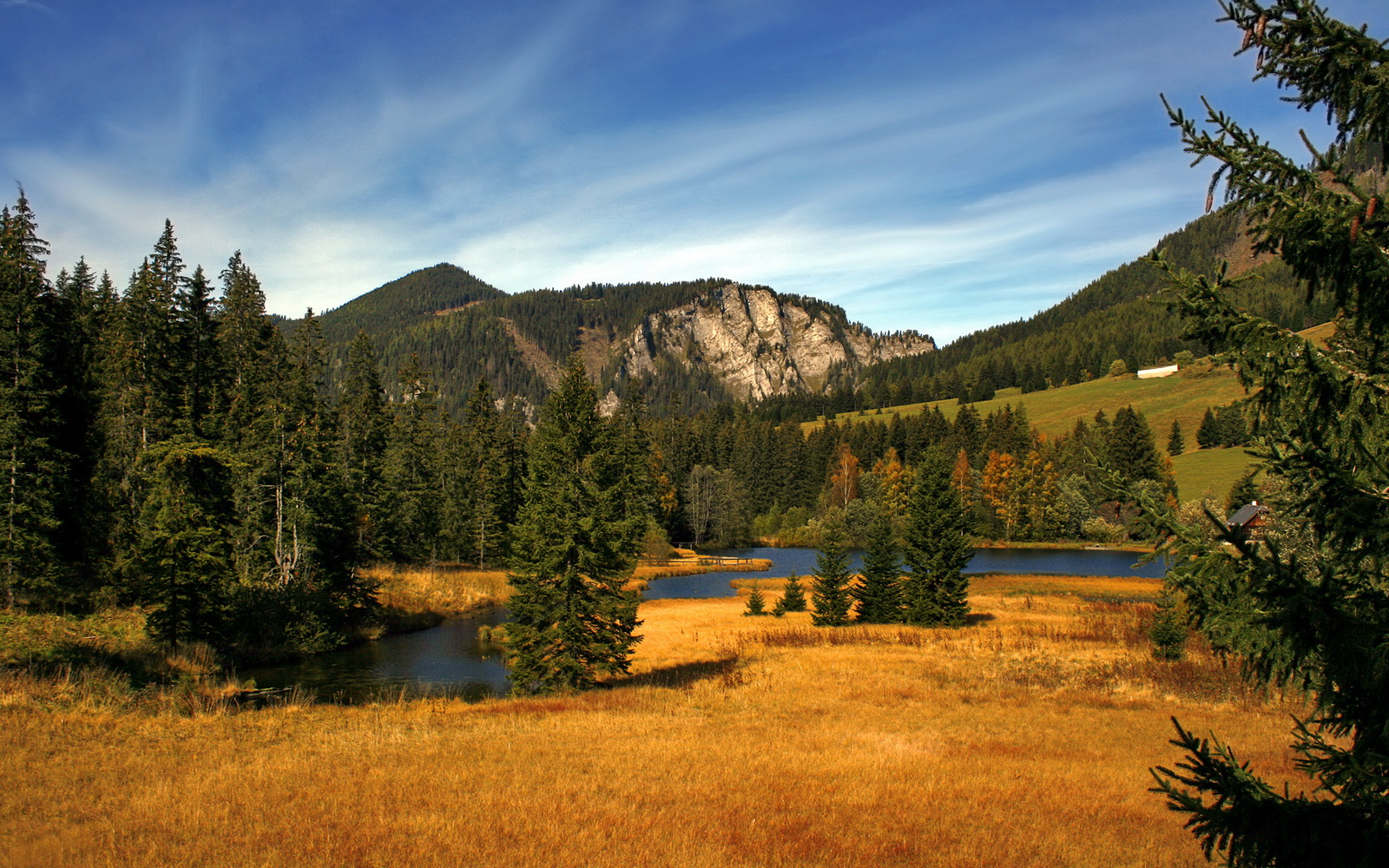 自由式滑雪新赛制更注重技巧评分，自由式滑雪赛事介绍