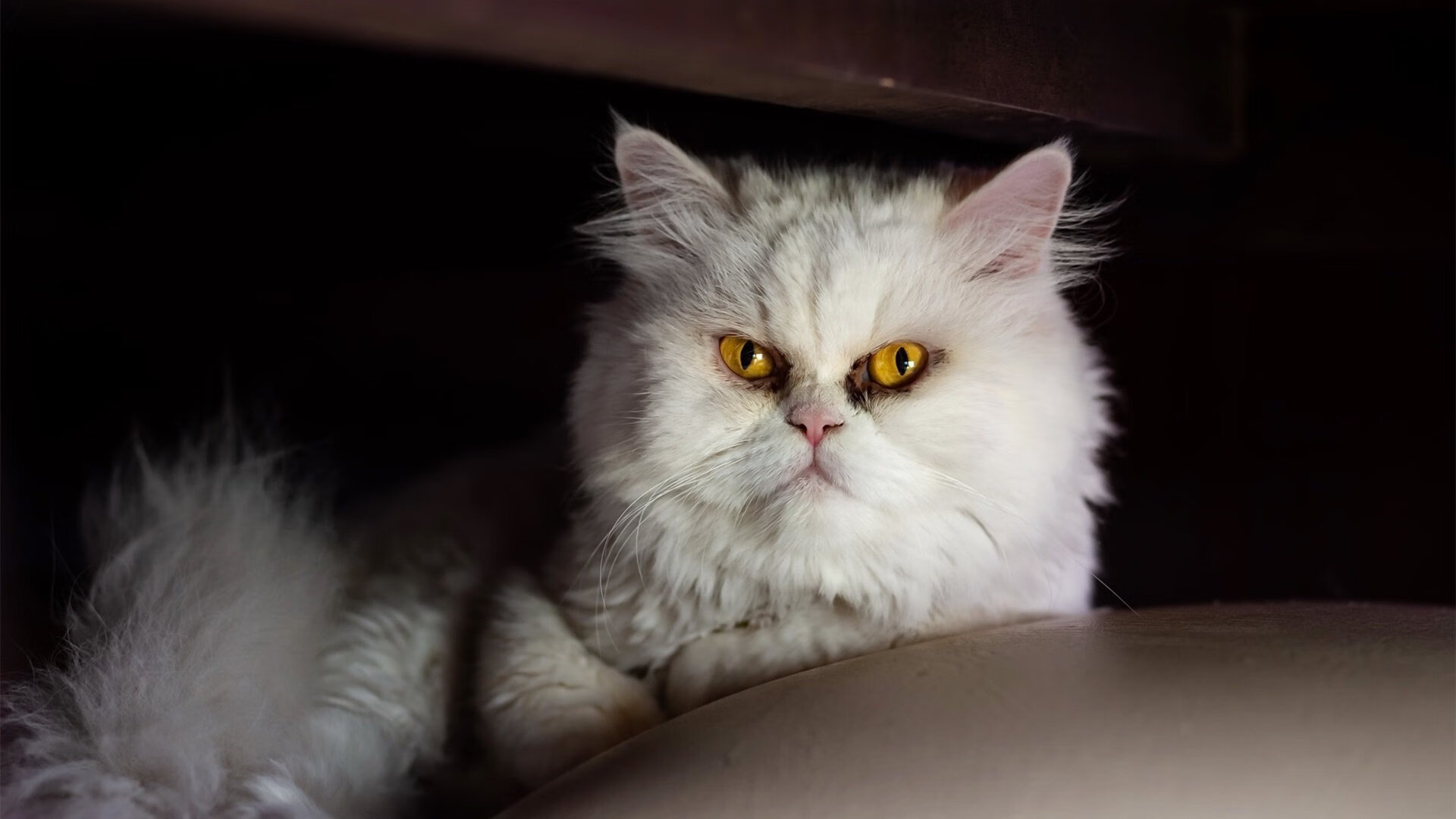 中国足球国家队组织多样化战术对抗演练，中国足球国家队比赛理念