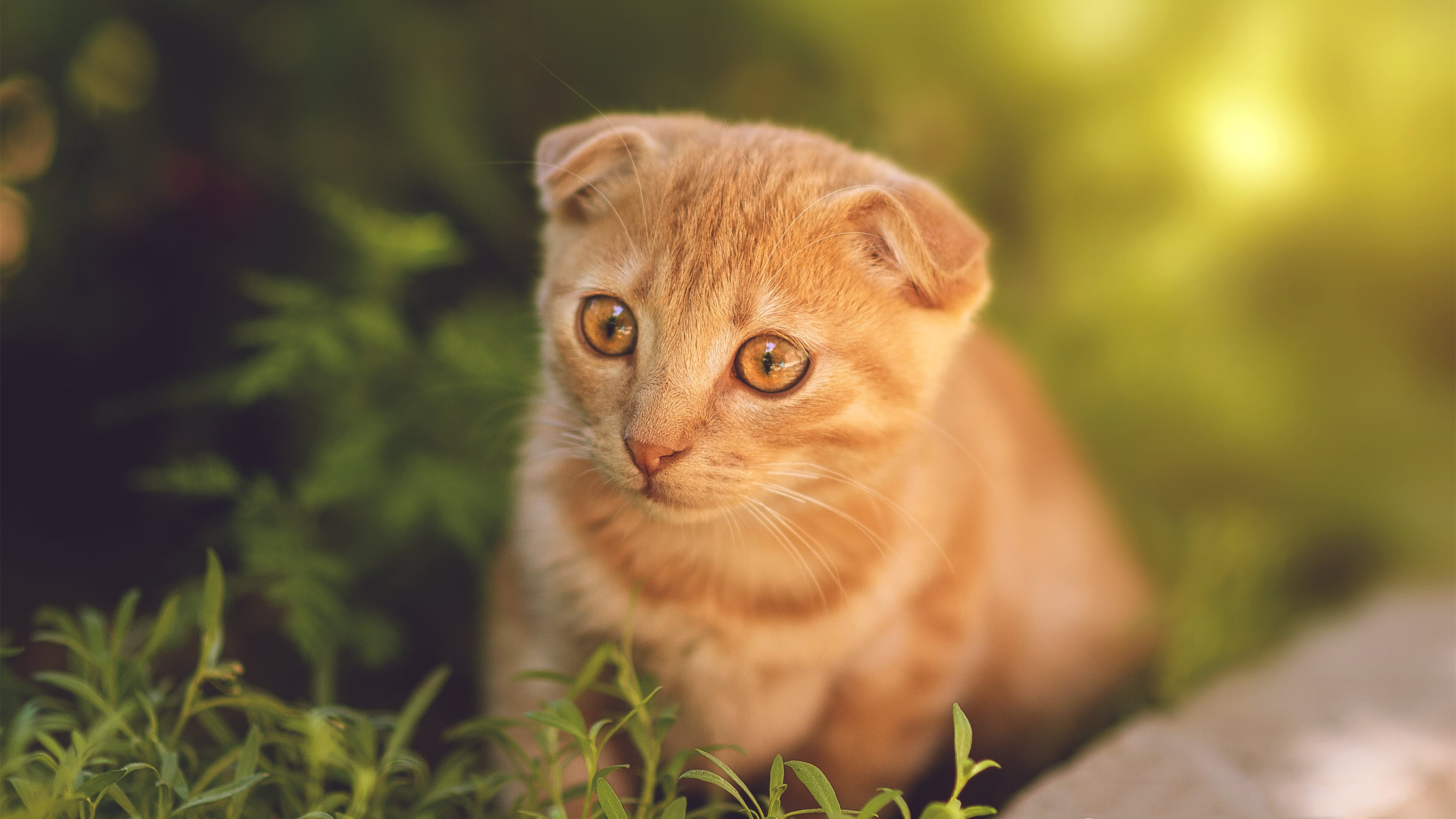 爱游戏体育（AYX）官方APP下载-全国篮球公益计划进入少数民族地区促进均衡发展，公益篮球训练营