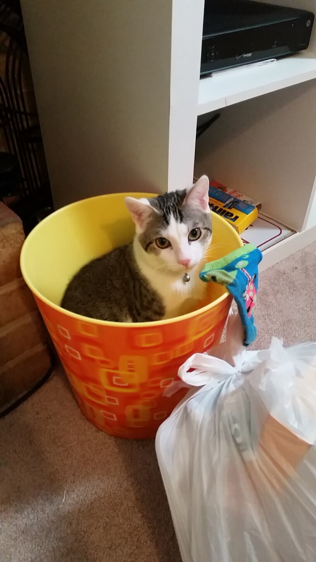 卢旺达男篮在非洲锦标赛中勇夺佳绩,体育影响力不断扩大,卢旺达非洲第一