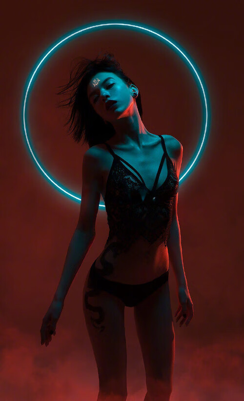 新西兰全黑队再度登顶,橄榄球冠军锦标赛成其传统舞台,新西兰橄榄球队服