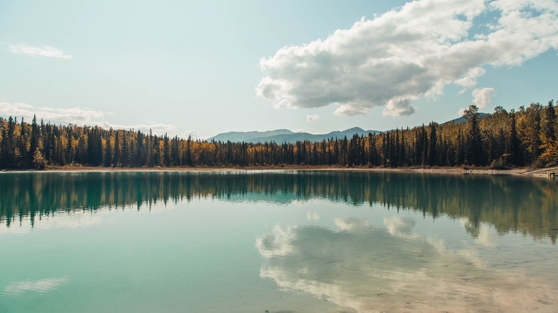 英格兰橄榄球队双星闪耀引热议,英格兰橄榄球队员