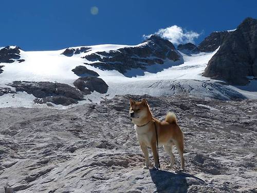 西甲精彩纷呈：攻防交锋，精彩不断！，西甲攻略