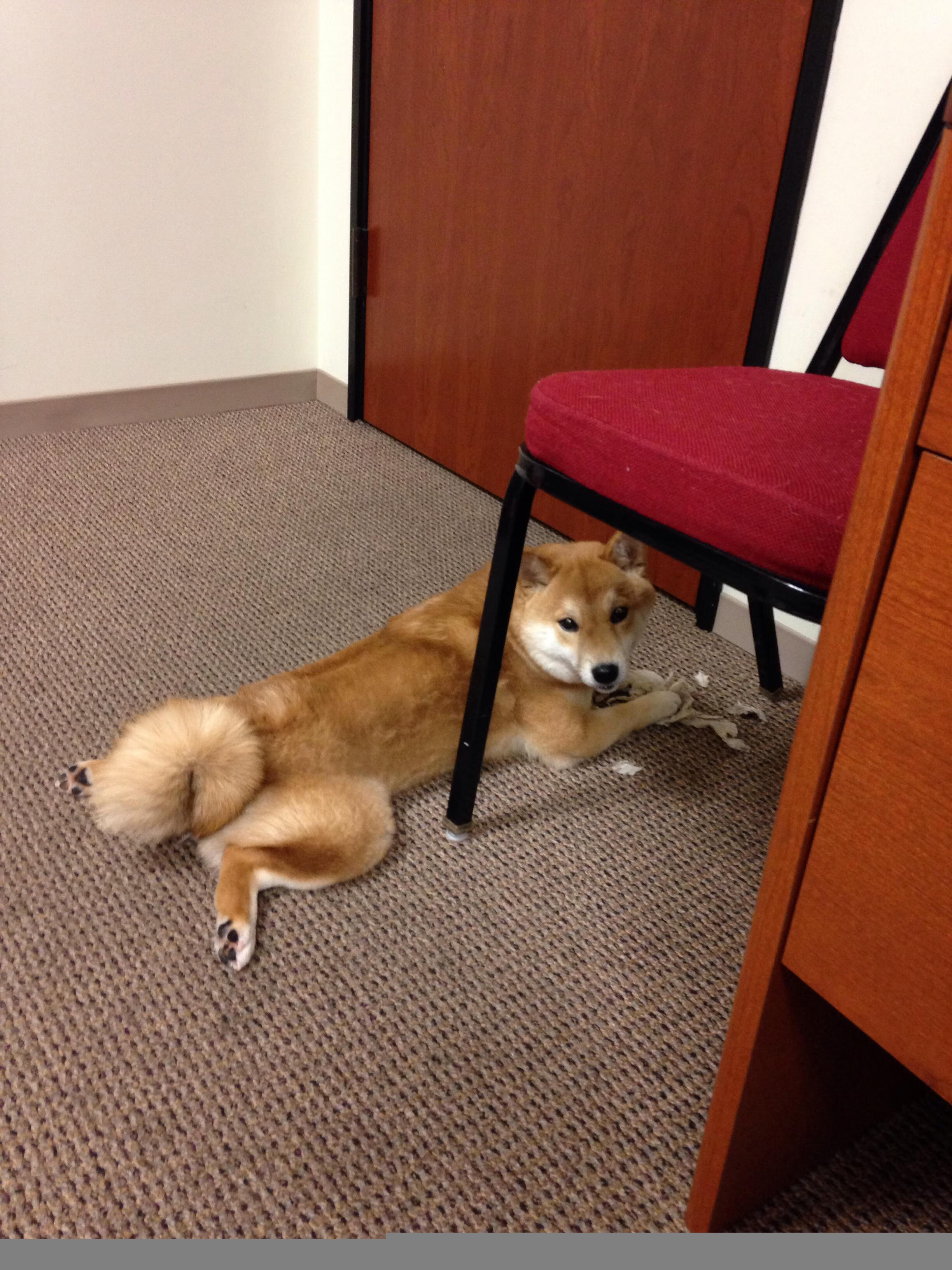 西甲金靴榜格局生变，射手榜领跑者更迭，西甲金靴最多的球员