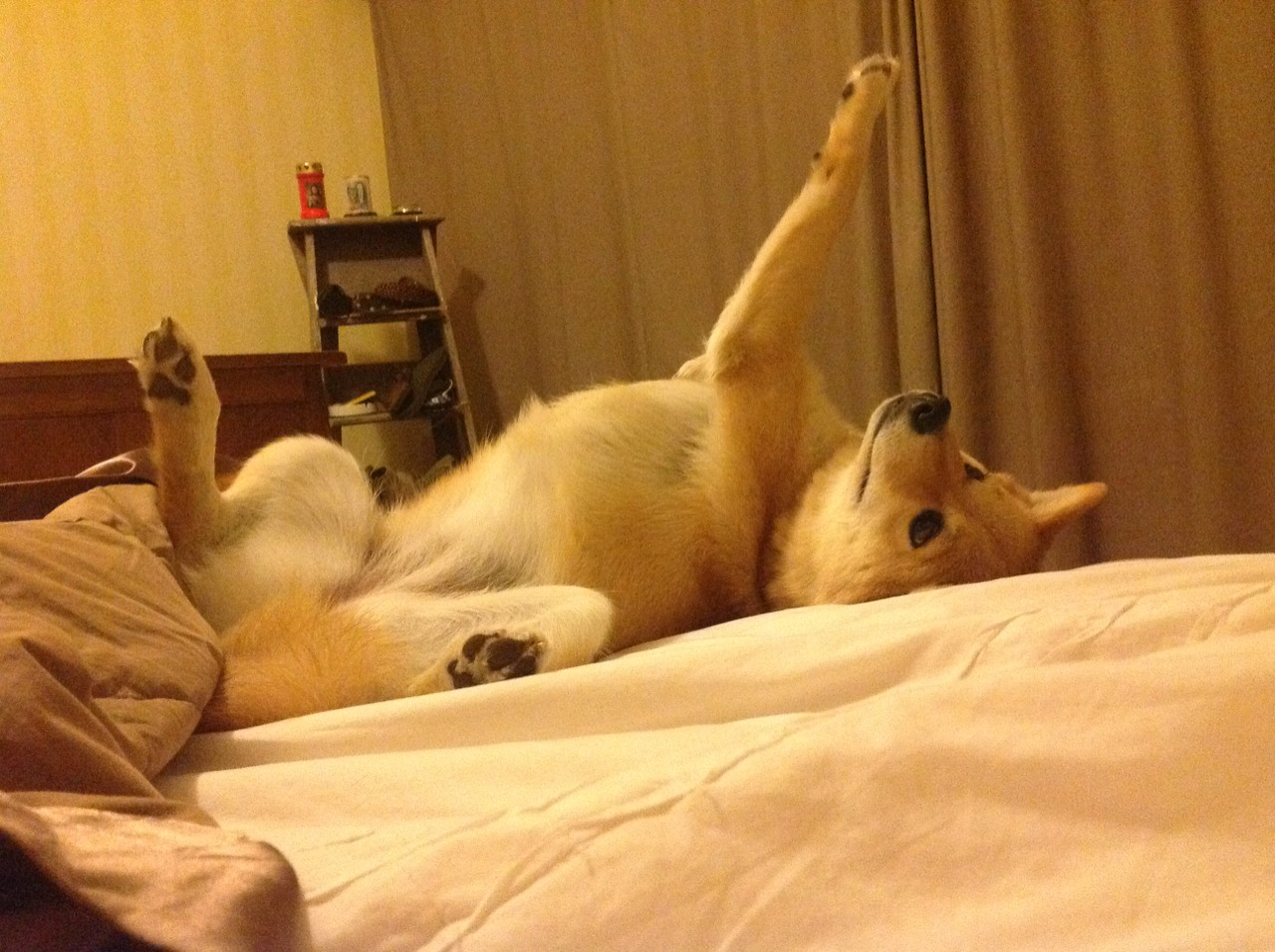 爱游戏登录入口-青训储备影响男子未来走势，青训有钱拿吗