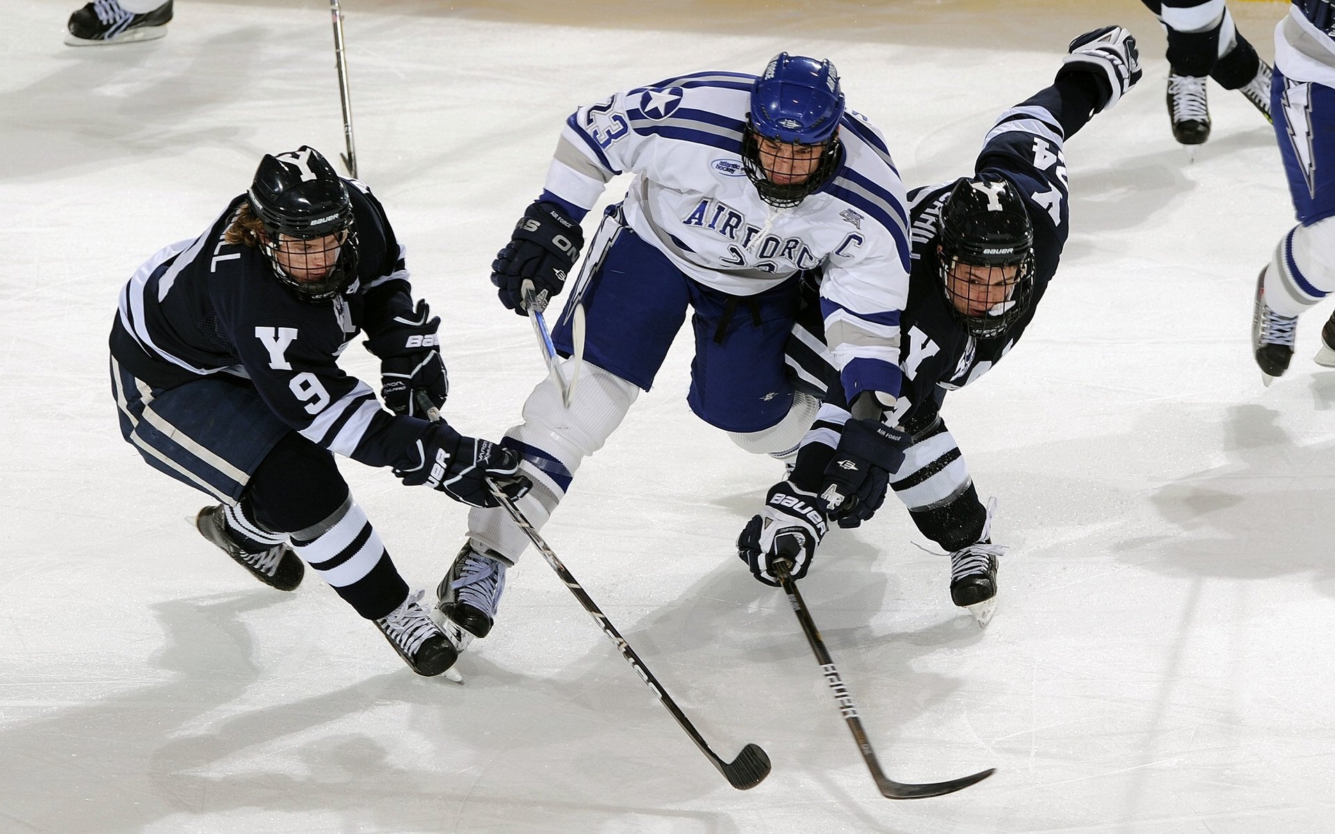 赛道背后：车队运营与策略的幕后揭秘，车队赛是什么意思